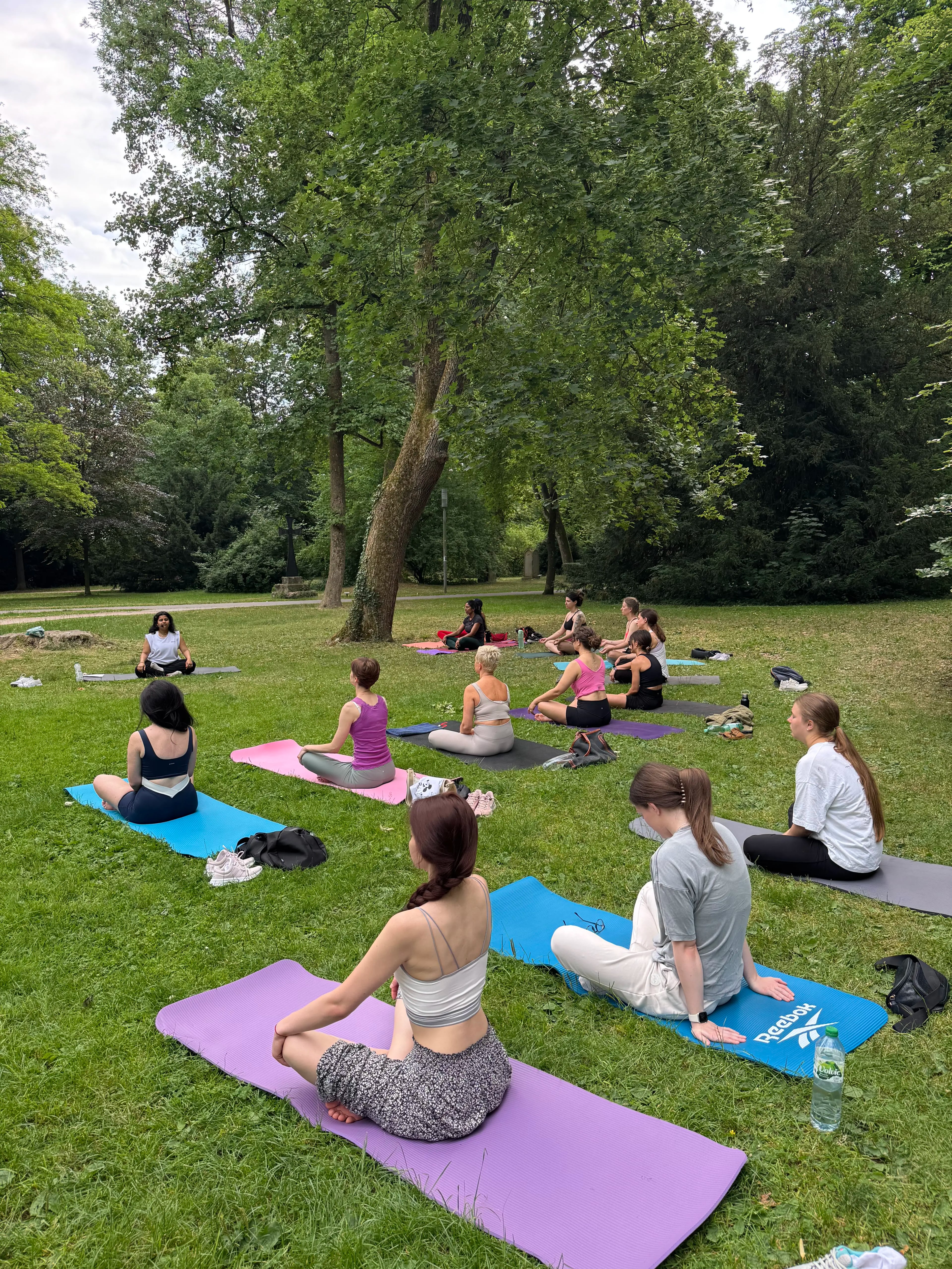 Outdoor yoga practice surrounded by nature in Ulm